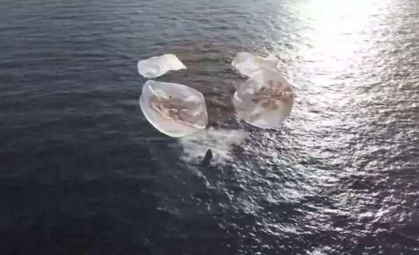 NASA’S SPACEX CREW-12 DRAGON SPLASHES DOWN AT 11:34 A.M. EDT