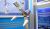 100 NEW RUSSIAN SATELLITES