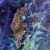 NASA’S LANDSAT TURNS 40