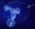AVANTI ANNOUNCES SUCCESSFUL LAUNCH OF ITS HYLAS 2 SATELLITE