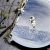 NASA TO BROADCAST LIVE SPACEWALKS FROM THE SPACE STATION