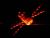 EUROPEAN CARGO SPACESHIP PLUNGES TO ITS DOOM