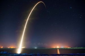  	 SPACEX SUPPLY SHIP TAKES OFF WITH ANIMALS, CRITICAL CARGO