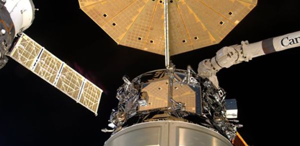 EXPEDITION 46 PREPS CYGNUS FOR UNBERTHING, CONDUCTS LIFE SCIENCE EXPERIMENTS