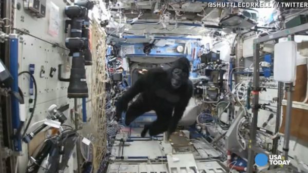 WATCH: 'GORILLA' CHASES ASTRONAUTS ABOARD SPACE STATION