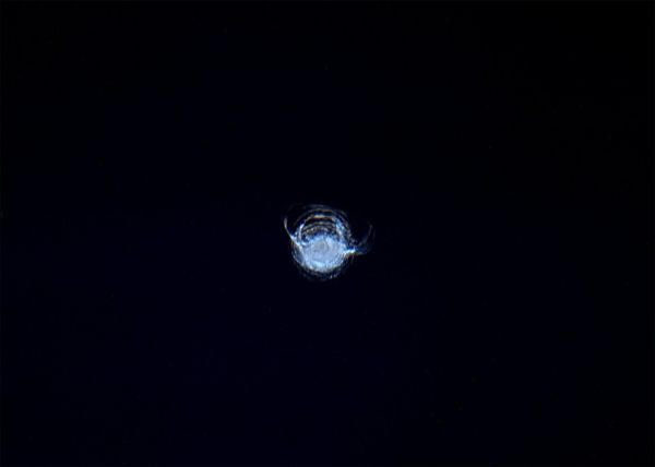 TINY DEBRIS CHIPPED A WINDOW ON THE SPACE STATION