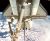 FIRST STS-126 SPACEWALK PLANNED FOR TODAY