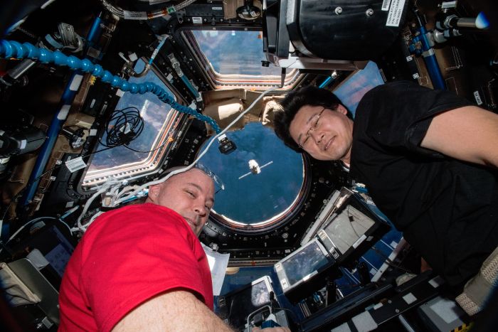 THERE'S A LOT OF SPERM ON THE INTERNATIONAL SPACE STATION RIGHT NOW