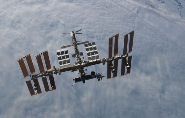 RUSSIA TO DELIVER 3D-BIOPRINTER TO ORBITAL OUTPOST IN NEXT SPACE LAUNCH
