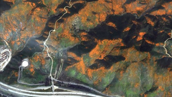 CALIFORNIA'S 'SUPERBLOOM' OF WILDFLOWERS LOOKS SPECTACULAR FROM SPACE!