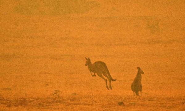 AUSTRALIA DEVELOPING SATELLITE TO PREDICT BUSHFIRE DANGER ZONES