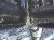 SPACE STATION POPULATION HITS RECORD HIGH
