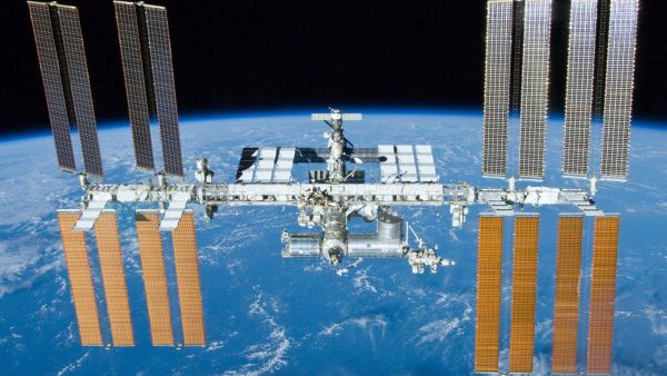THREE ENTIRELY NEW LIFEFORMS DISCOVERED ON SPACE STATION