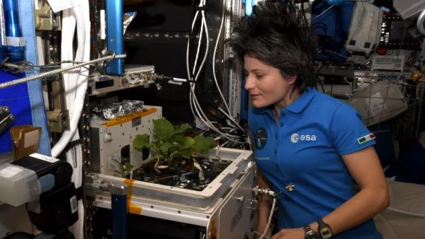 International Space Station has 'peculiar odor,' astronaut says