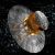 ESA TO LAUNCH GAIA SATELLITE INTO SPACE