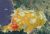 SATELLITE IMAGES HELP FOCUS HAITI EARTHQUAKE RELIEF 