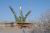 LATEST FREIGHTER HEADS FOR INTERNATIONAL SPACE STATION