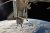 ASTRONAUTS TAKE 1ST SPACEWALK OF SHUTTLE MISSION
